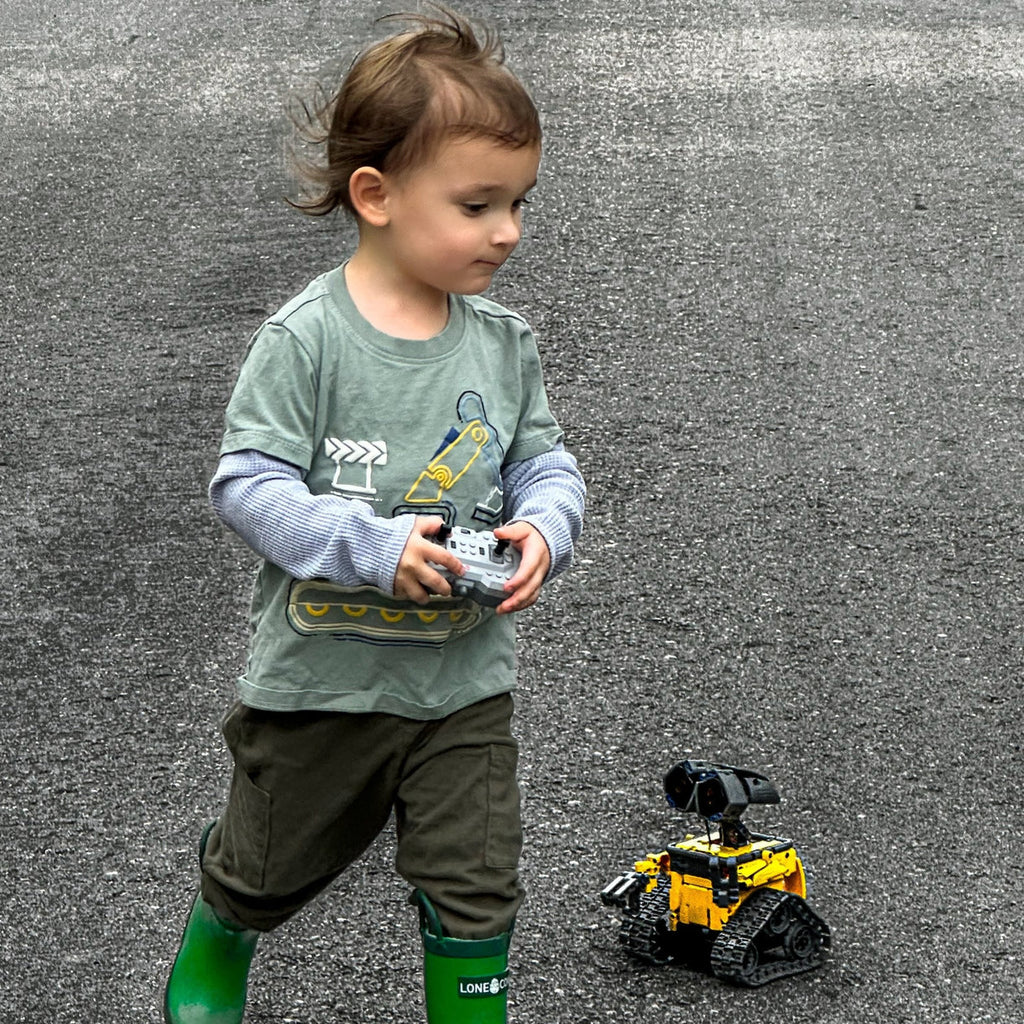 ecoEbot B891 STEM Toy